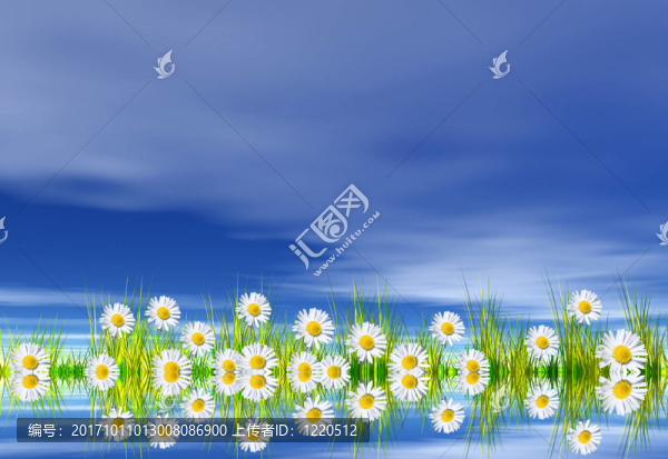 雛菊