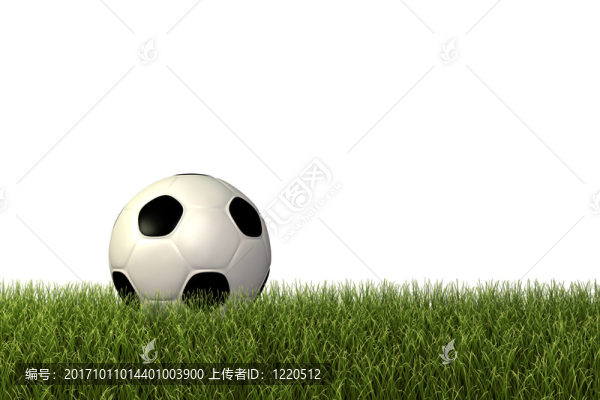 運動