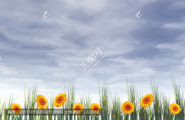 花的草地