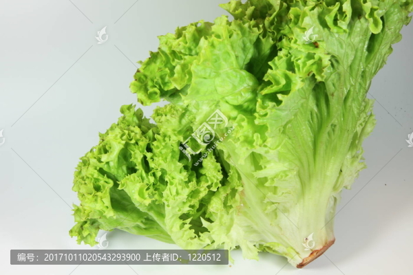 食品