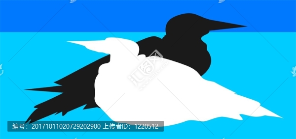 動(dòng)物