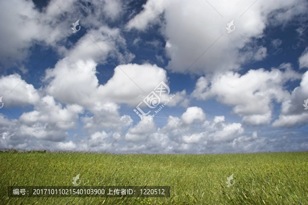 藍色的