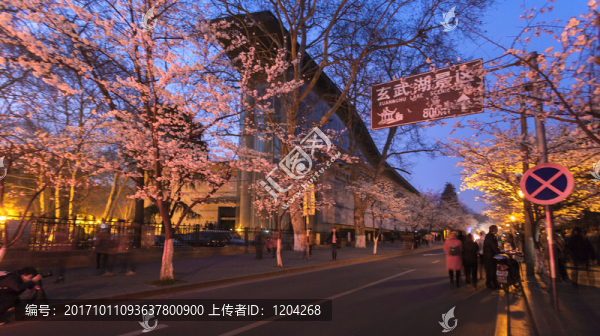 櫻花