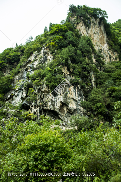 青山