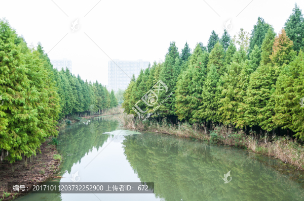 鹽瀆公園景色