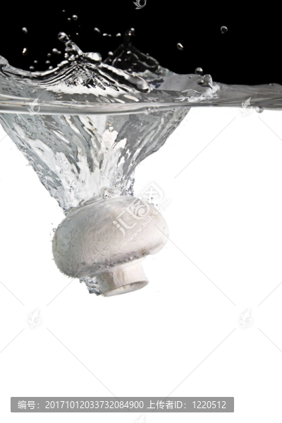 香菇水