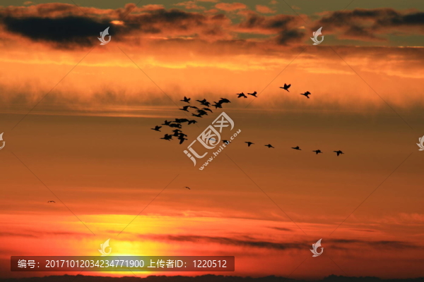 上午飛行