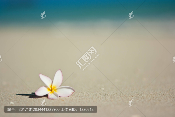 旅行