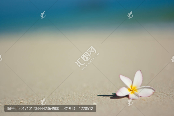 旅行