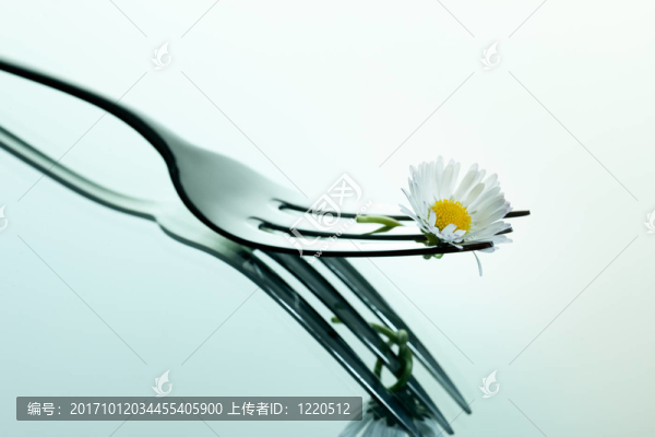 叉和花
