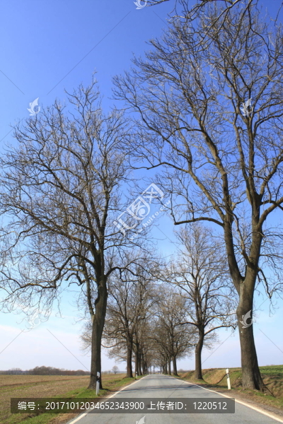 的landstrasse