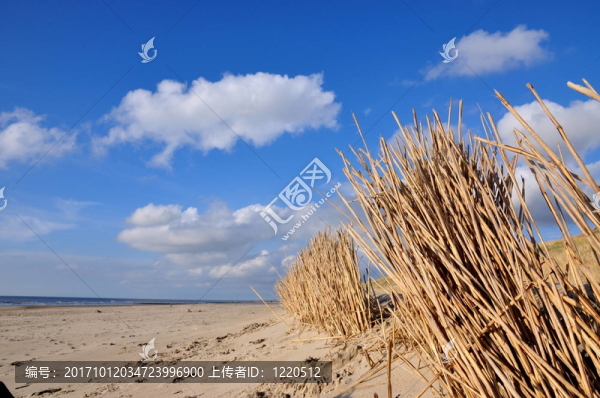 海灘風(fēng)景