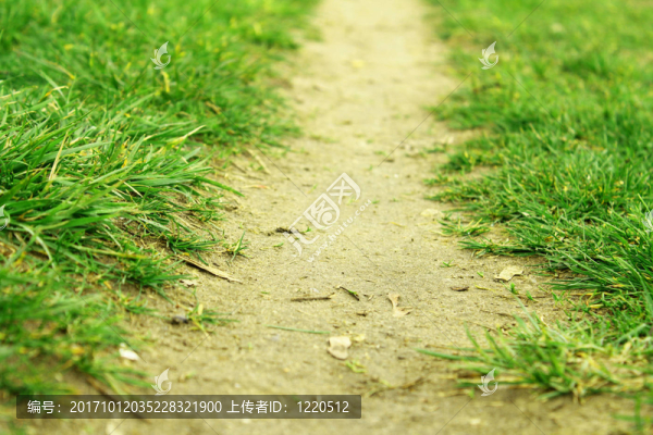 路徑