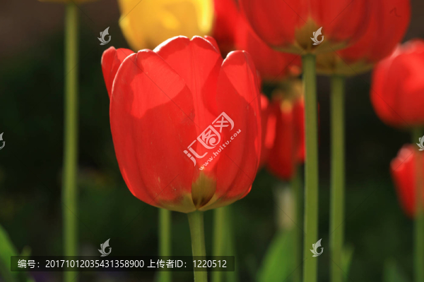 近