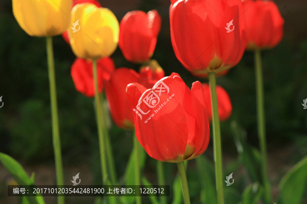 近