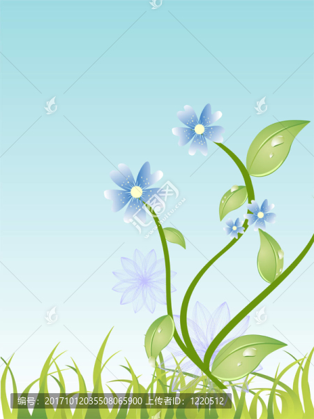 花卉