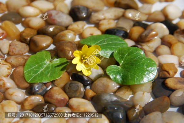 室內(nèi)噴泉風水