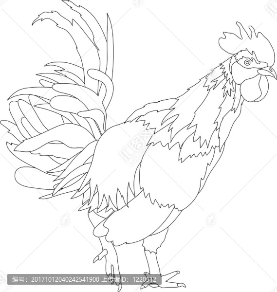 插圖