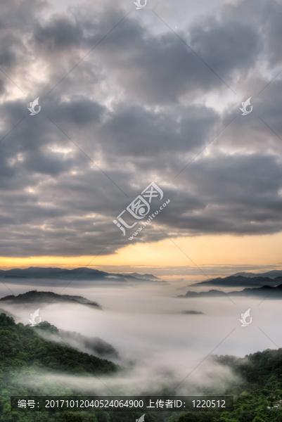 美麗的