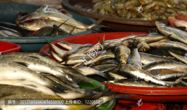 是海鮮市場