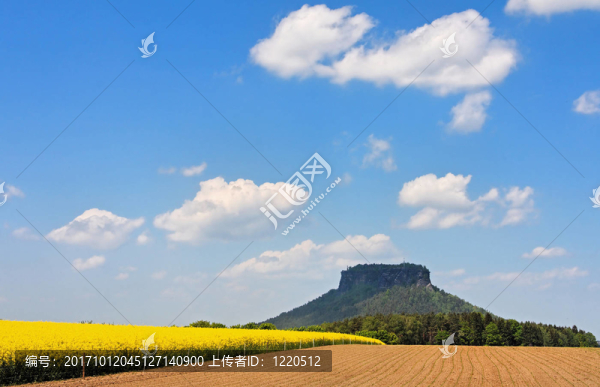 在elbsandsteingebirge彈簧