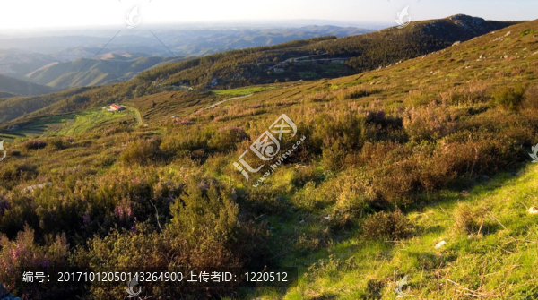 在monshique山林，阿爾加維，葡萄牙