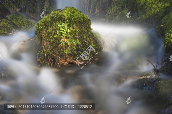 河道