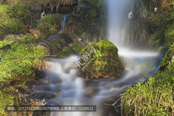 河道