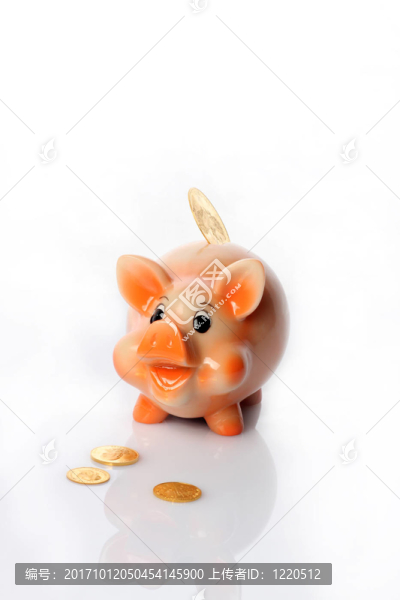 撲滿