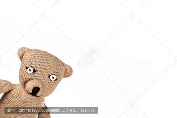 泰迪熊