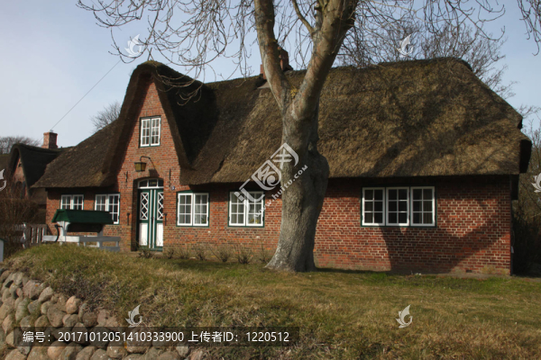 friesenhaus