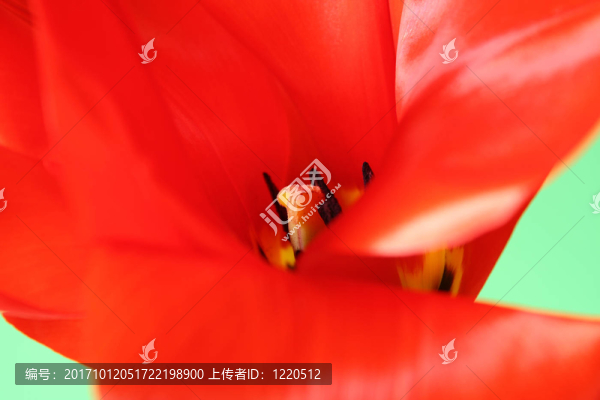 綠色