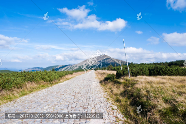 山頂公路