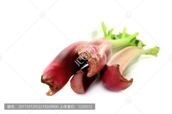 大黃