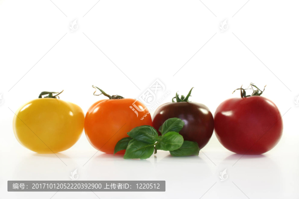西紅柿