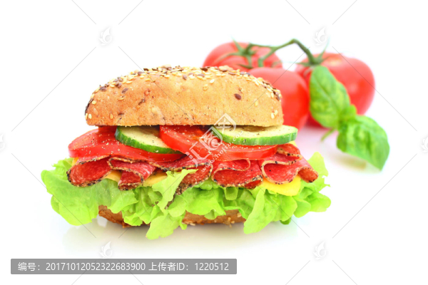 美味的鮮鮭魚卷