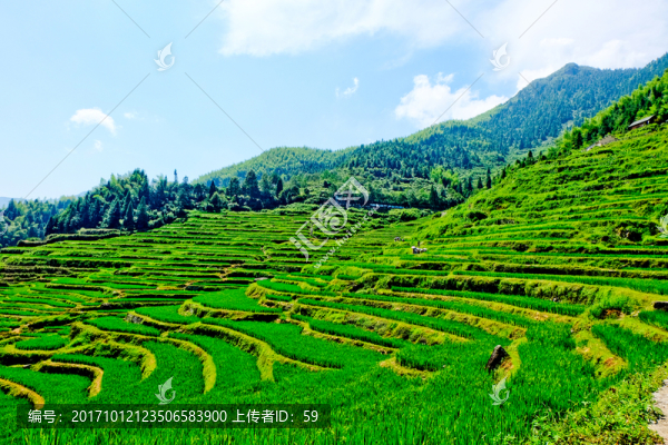 梯田