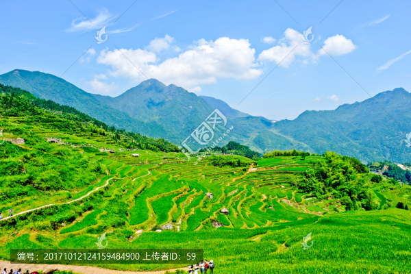 梯田