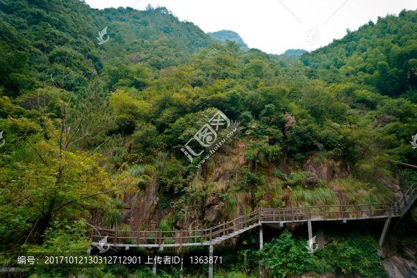安吉浙北峽谷自然風(fēng)景