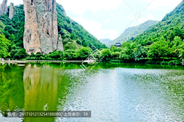 湖泊,森林