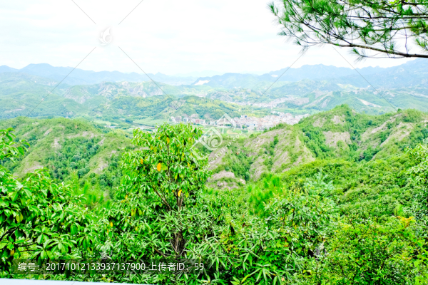 森林,山林