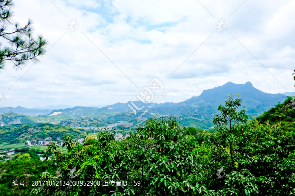 森林,山林