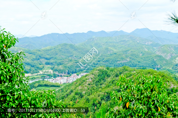 森林,山林