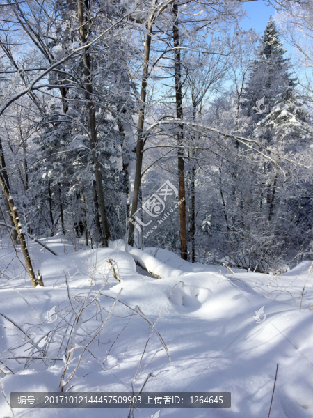 雪景,冬景,山峰,石峰,樹木