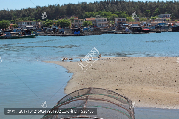 海邊淺灘