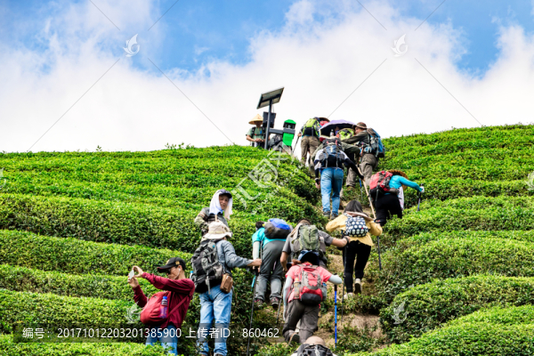 徒步旅行,登山,驢友徒步