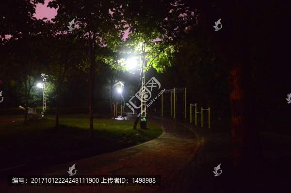 公園夜景