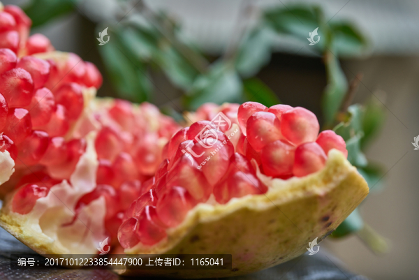 紅石榴特寫