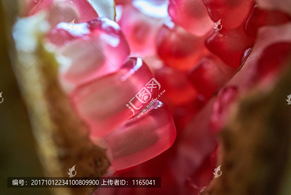 高清石榴
