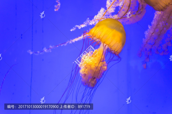 DSC05535海底